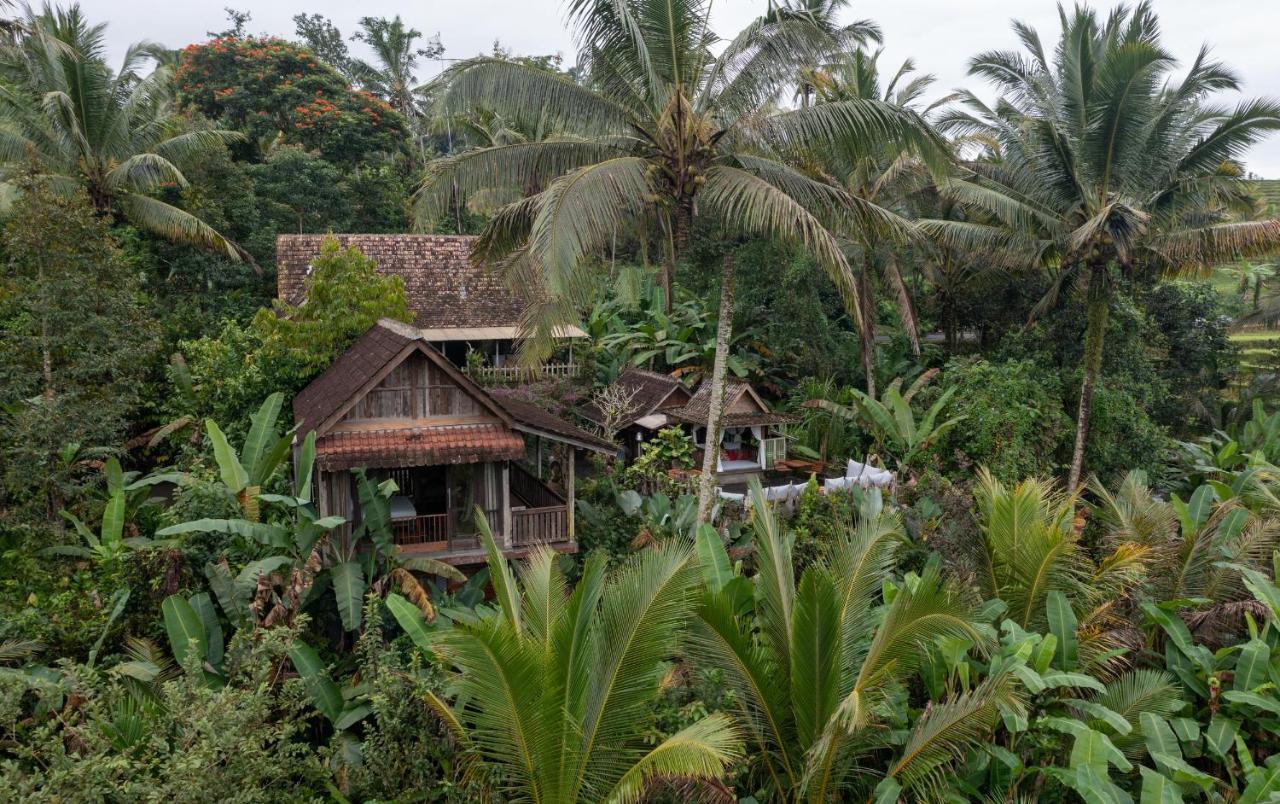 Villa Nienté Bali Penebel Exterior foto